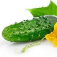 Cucumbers