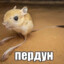 пердун