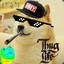 MLG Doge