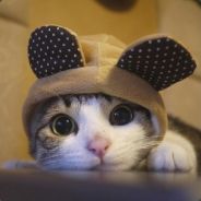 RORO
