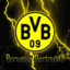 grügner_bvb