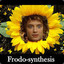 Frodo-Synthesis