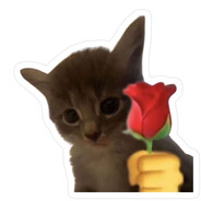 Kitten Lover