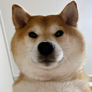 nakamoto - steam id 76561199248883153