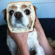 Jakes - steam id 76561197961419213