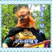 大王叫我去巡山