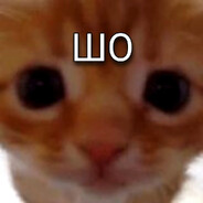 Trezo - steam id 76561199128721502