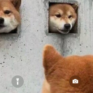 再等一下 还在舔