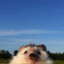 СУПЕР ТОЛИК