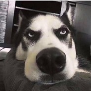 黄焖两年半的鸡