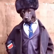 Skodun