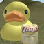 Aeroduck