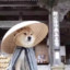 知识学爆