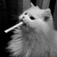 wow1's avatar