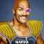 Nappa the rock