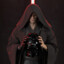 Mr. Anakin Skywalker