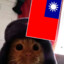 這盒柿嗎