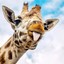 BipedalGiraffe