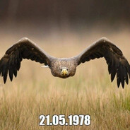 21.05.1978 Steam avatar