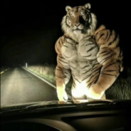 卧虎寺第一巴图鲁