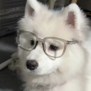 酸甜苦瓜大王