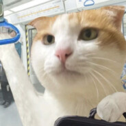 午夜伤感又破防了吧