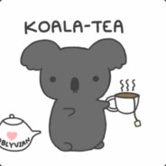 Koala Tea: the best tea