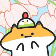 你看天上有只猪