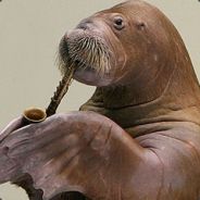 Sgt. Boobies - steam id 76561197964503053
