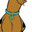 Chaddly avatar