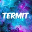 ♐TeRm1T