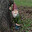 dunk1e