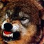 wild_wolf