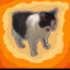 Flat_Bear