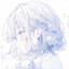 蓝花楹