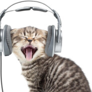 塞翁失馬安知非福