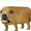 напумпане bandit.gg