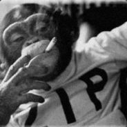 HeavySmoker