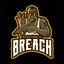 BReaCH