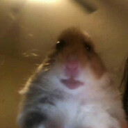 Herrero_ (#TF2isEasy)