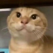 AAA-百吨王吴师傅（专跑