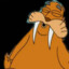 walrus_613