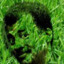 Neil The Grass Tyson