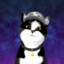 Trovo/pixel_the_cat