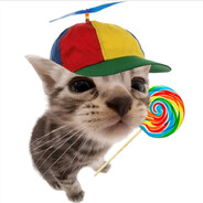 SuperCat123