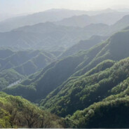 mqb郑州第一深情