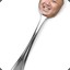 Kim Jong Spoon