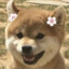 芳心纵火犯
