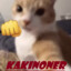 kakinoner