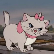 TheySammierolling51924